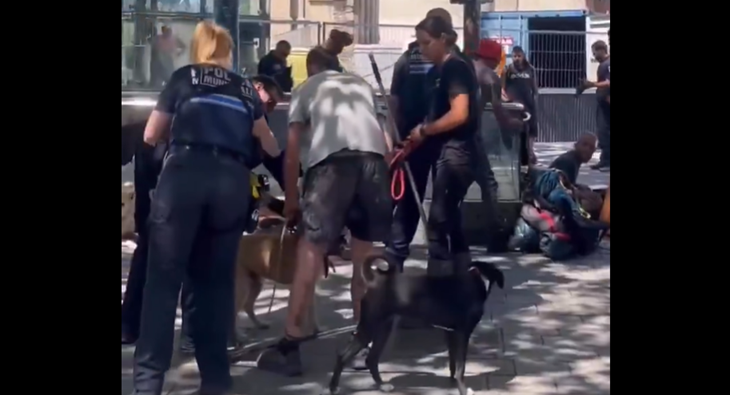 Saisie de chiens de SDF à Rennes